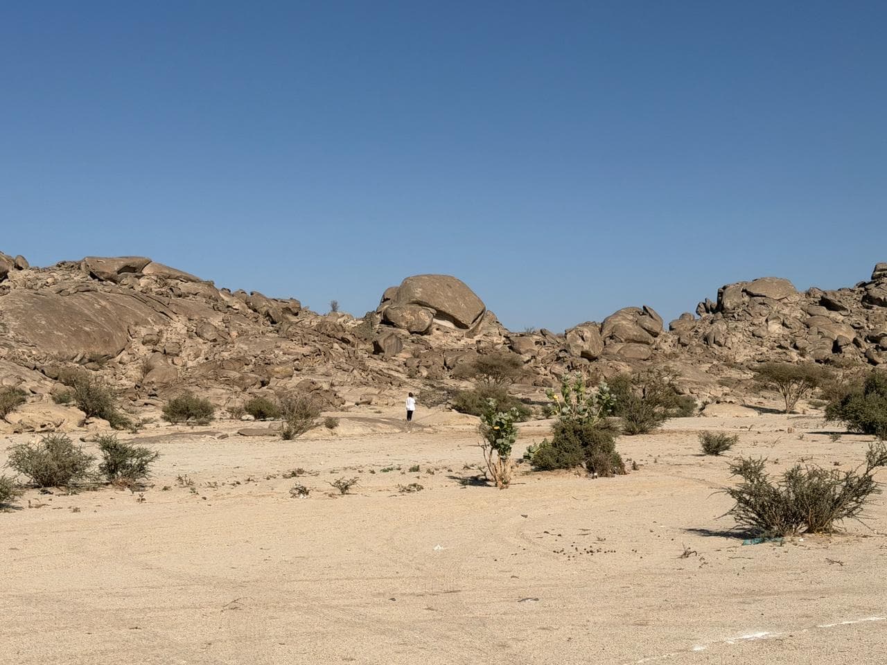 Cumbre de concienciación sobre senderismo en Jeddah